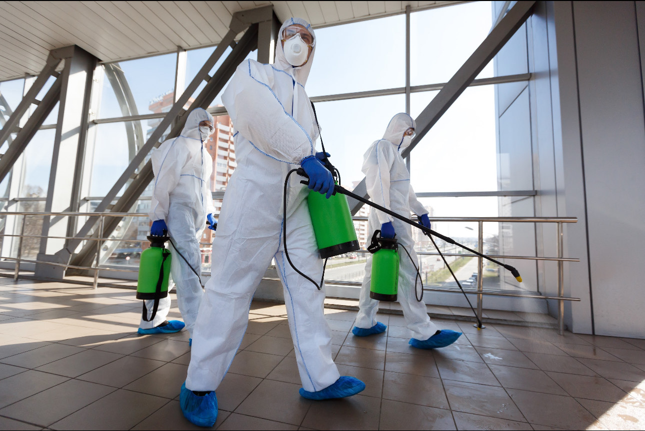 Reasons Why Your Business Needs Commercial Pest Control
